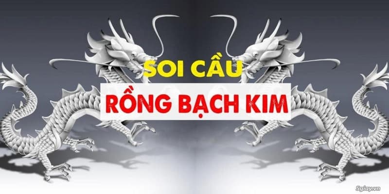 Đánh giá những ưu điểm của trang thống kê xổ số Rồng Bạch Kim