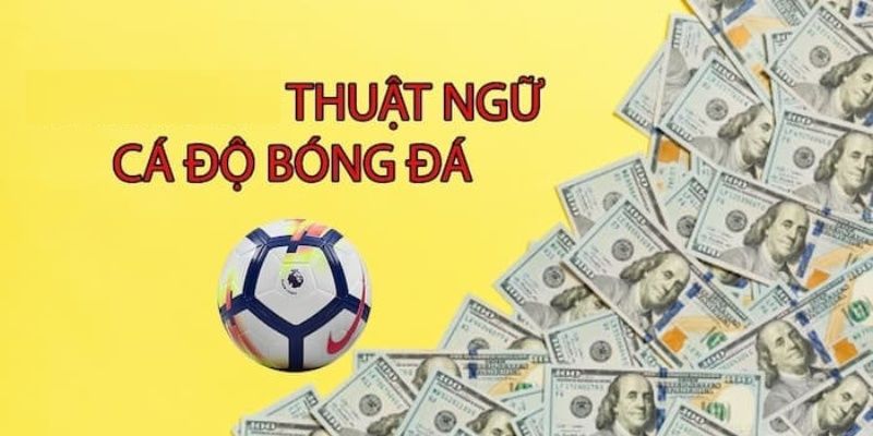 Thông tin tổng quan về các thuật ngữ cá độ bóng đá