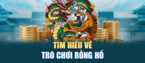 mẹo chơi Rồng Hổ W88